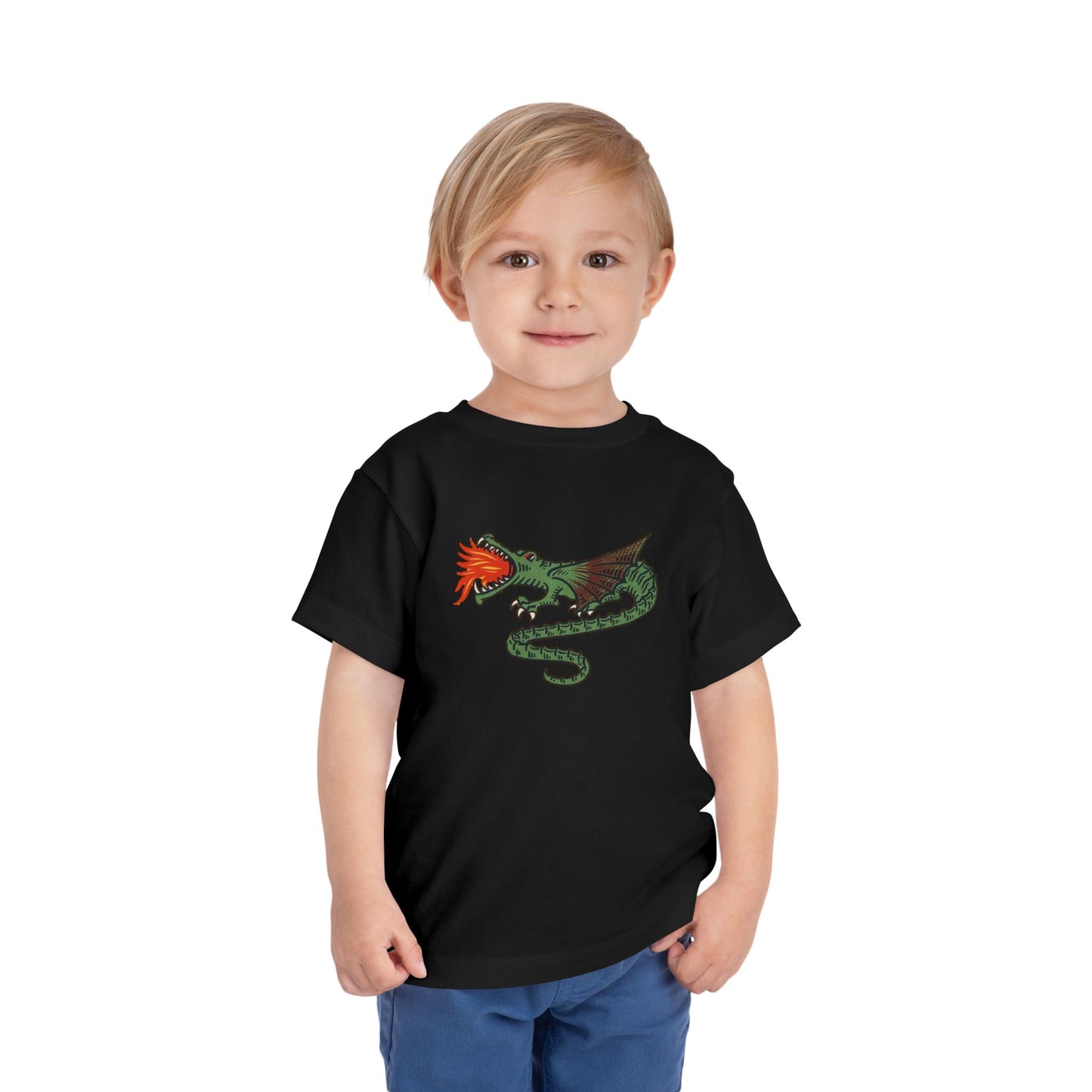 Dutch Dragon Toddler Tee Shirt