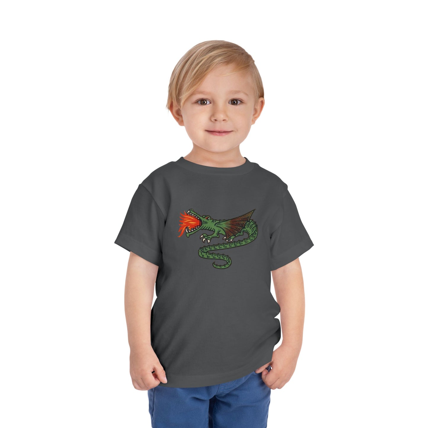 Dutch Dragon Toddler Tee Shirt