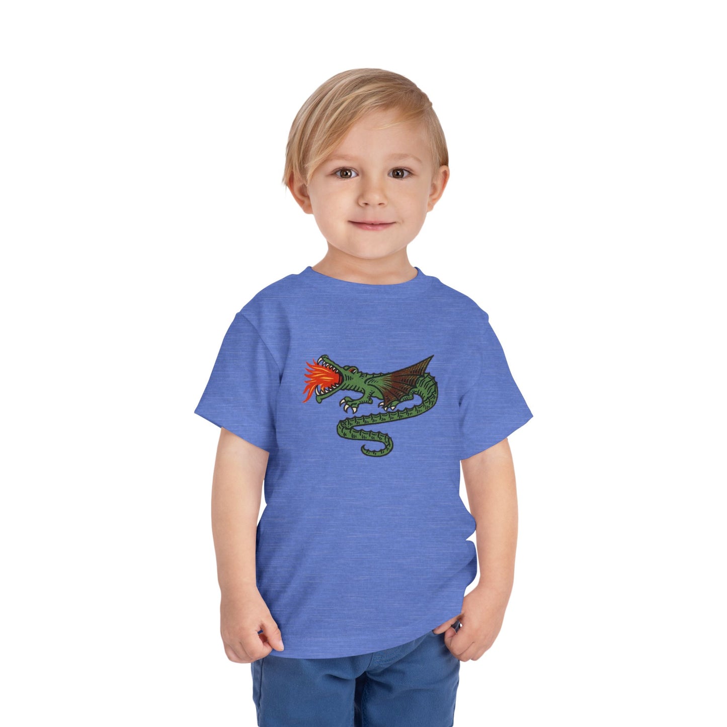 Dutch Dragon Toddler Tee Shirt