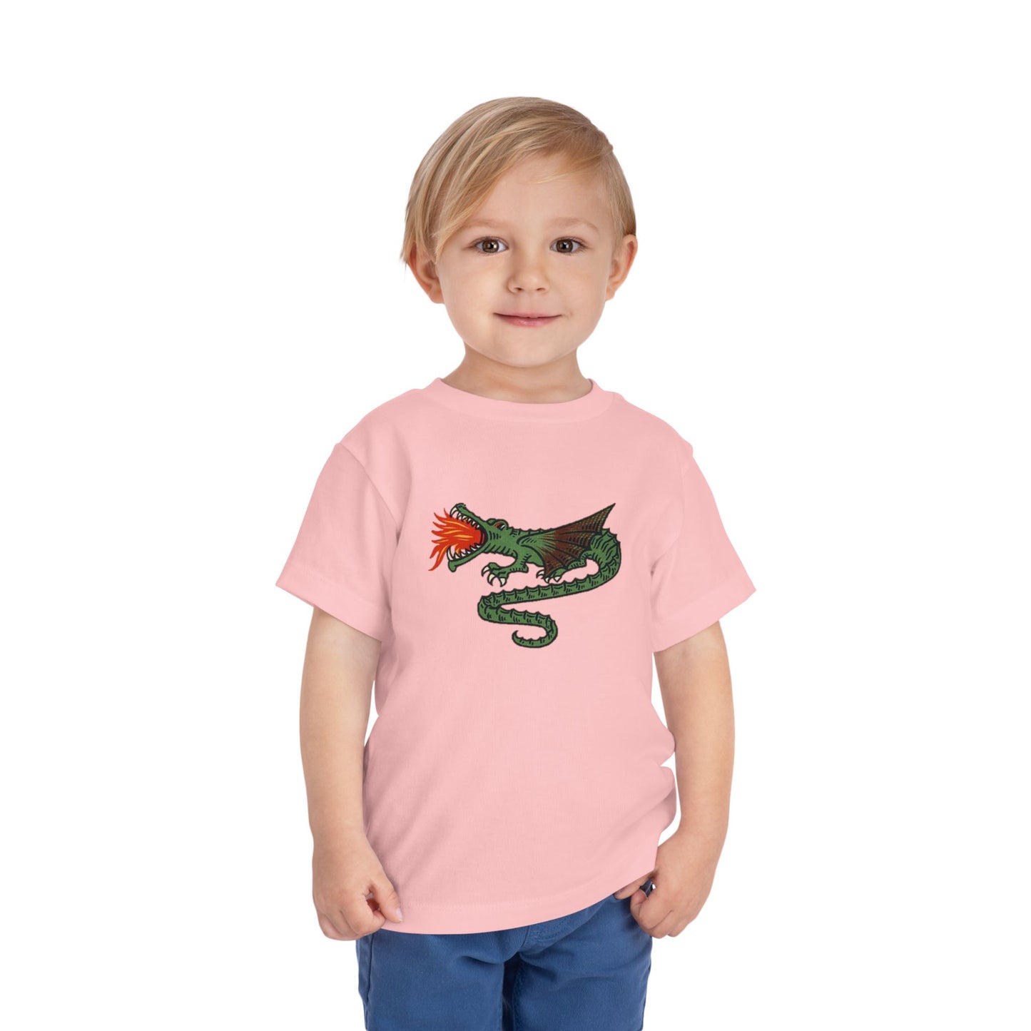 Dutch Dragon Toddler Tee Shirt