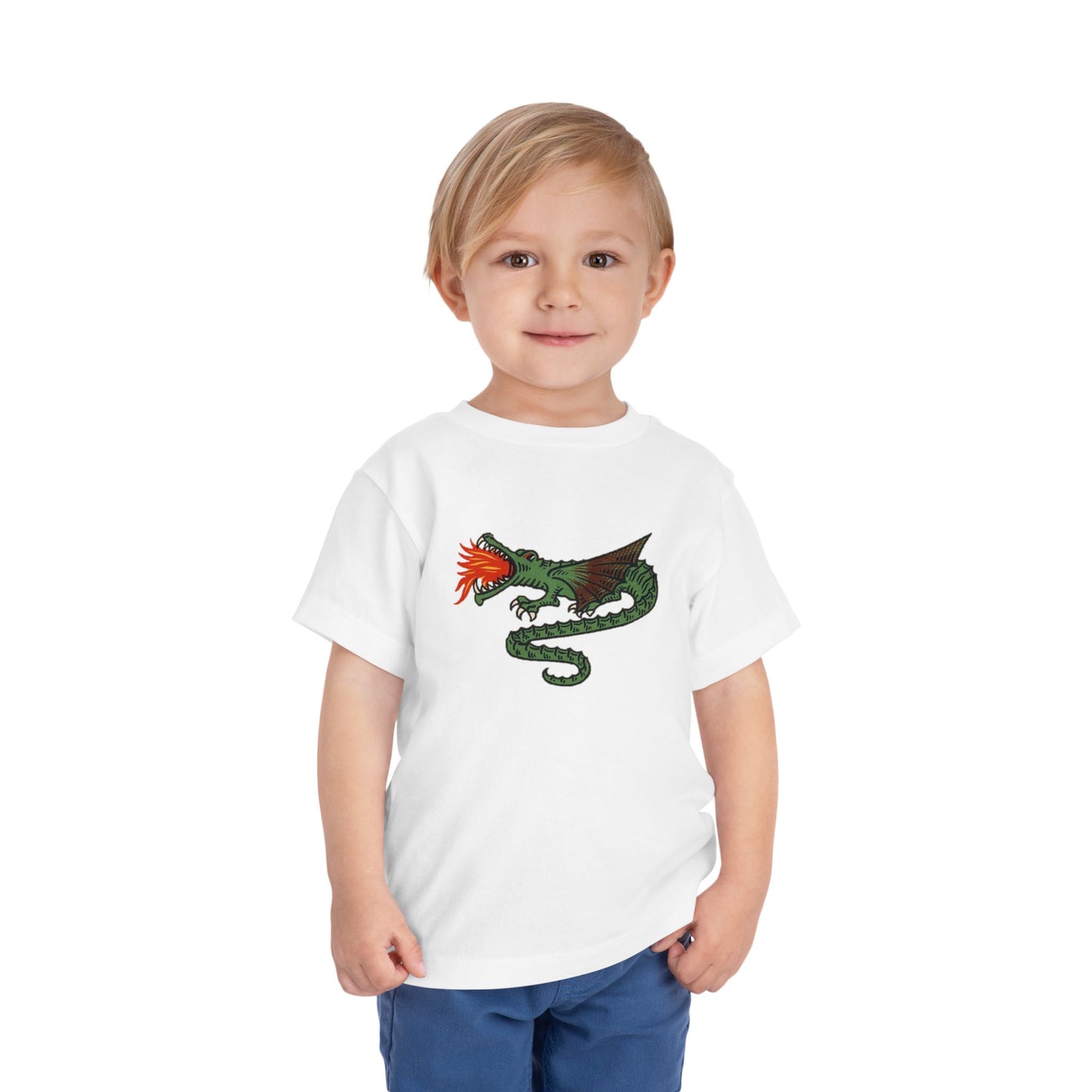 Dutch Dragon Toddler Tee Shirt