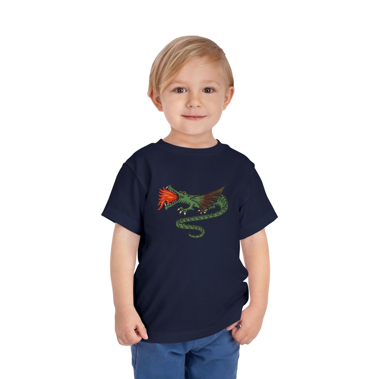 Dutch Dragon Toddler Tee Shirt