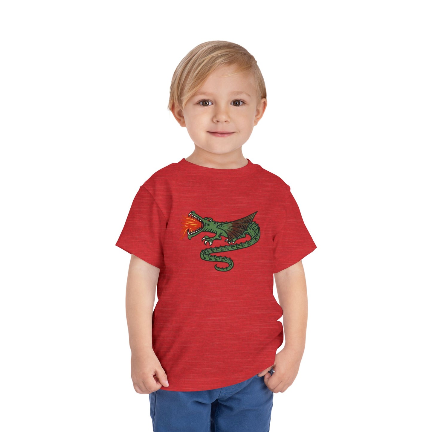 Dutch Dragon Toddler Tee Shirt