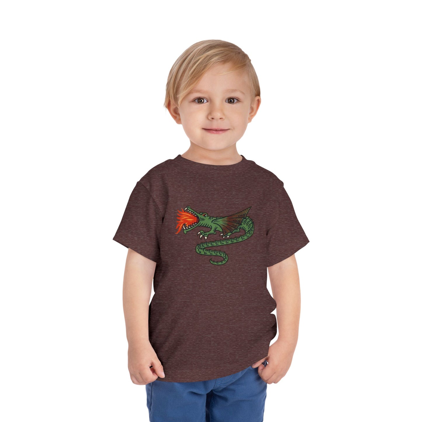 Dutch Dragon Toddler Tee Shirt